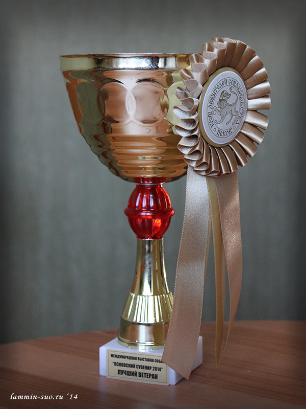 03 августа 2014 Псков. Международная выставка.