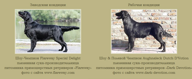 �������� ������ ���������, �������� ������ �������