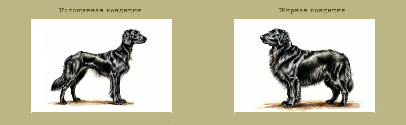 �������� ������ ����������, �������� ������ ������