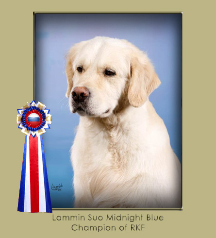 Lammin Suo Midnight Blue