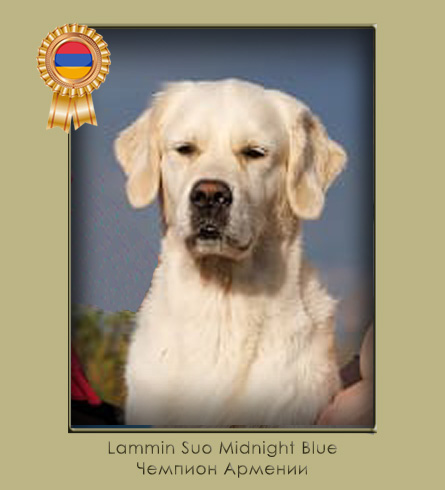 Lammin Suo Midnight Blue