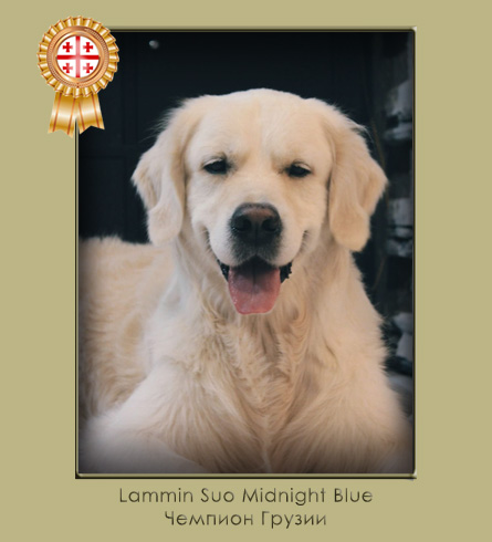 Lammin Suo Midnight Blue