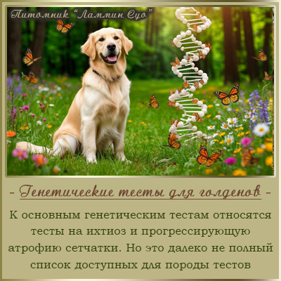 ������������ ����� ��� ���������� ����������