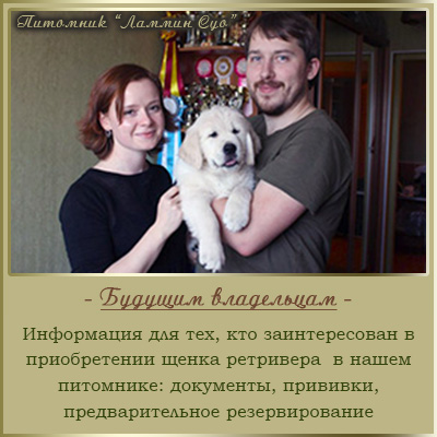   " " - , ,  ,  