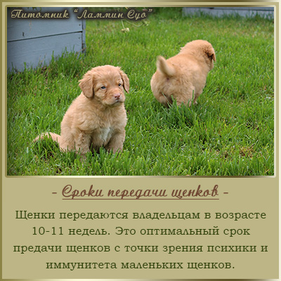 ����� �������� ������ ����������