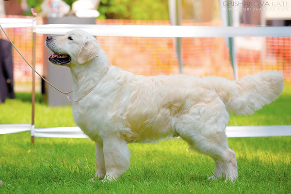 D.J. for Piter Evidog