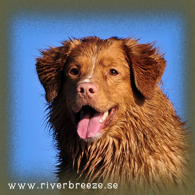 SE VCh Riverbreeze Magic Fire