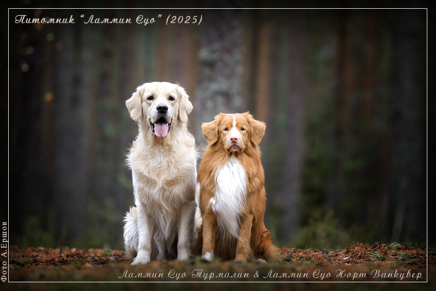 ���������� �������� � ��������������� ��������