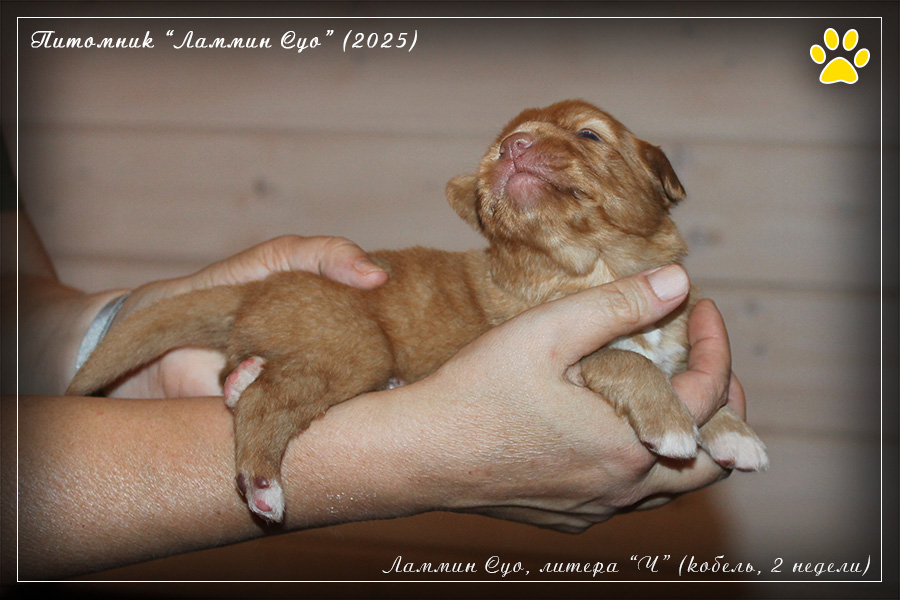 ����� ���������������� ���������