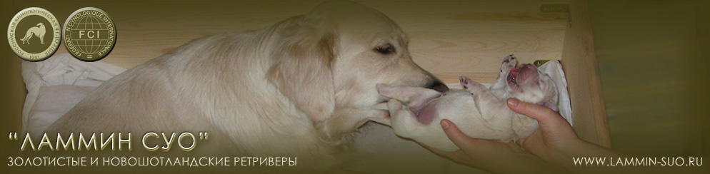 ���������� ��������� ������ ��� ������ �