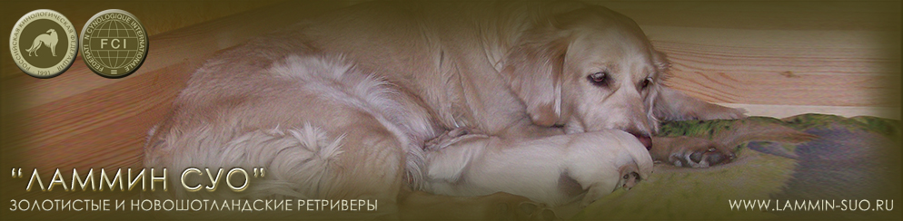 ���������� ��������� ������ ��� ������ �