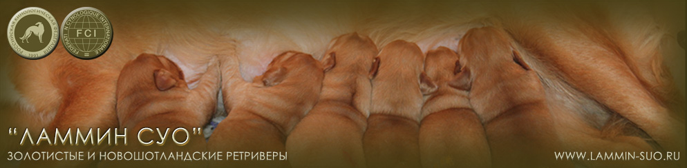 ��������������� ��������� ������ ��� ������ �