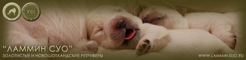 ���������� ��������� ������ ��� ������ �