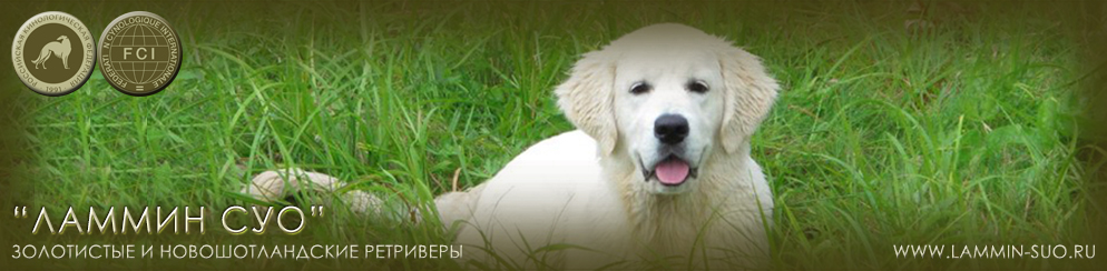 ���������� �������� ����� ��� ������ �����