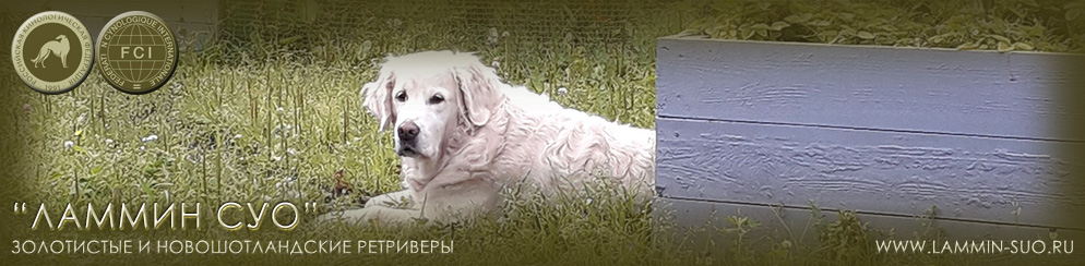 ���������� �������� ������ ��� ������ ���