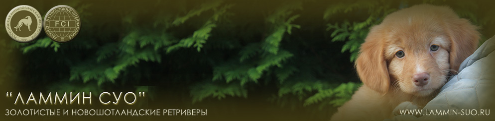 ��������������� �������� ������ ��� ������