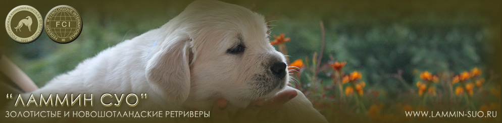 ���������� �������� ������ ��� ���������