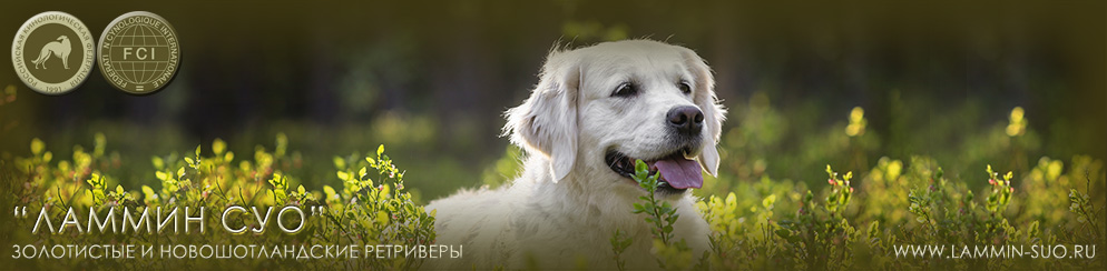 ���������� �������� ������ ��� ������ ����� ������