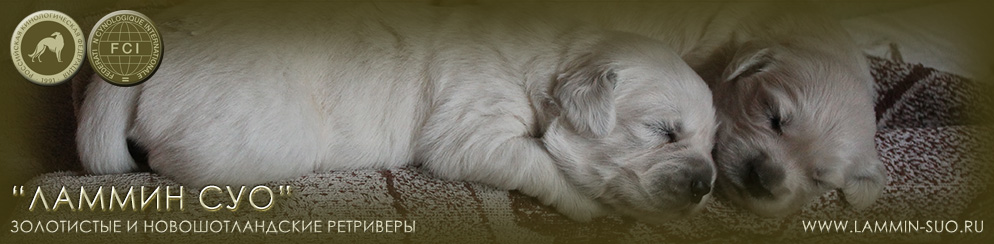 ���������� ��������� ������ ��� �