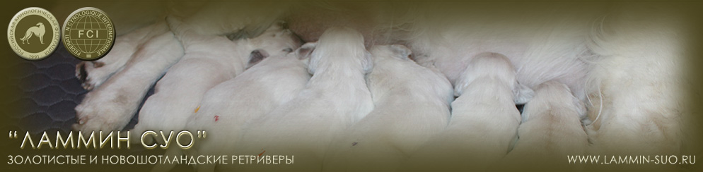 ������ ��� ������ �