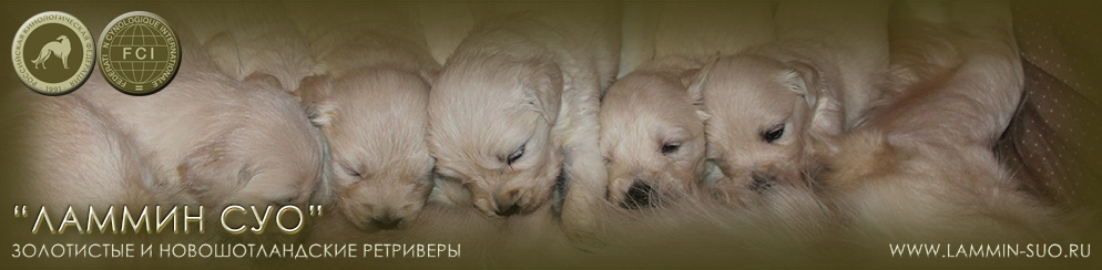 ���������� ���������� ���������� (������ ��� ������ �)