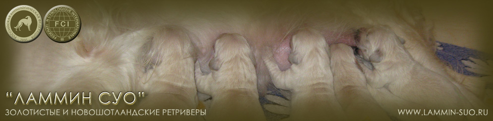 ���������� ��������� ������ �