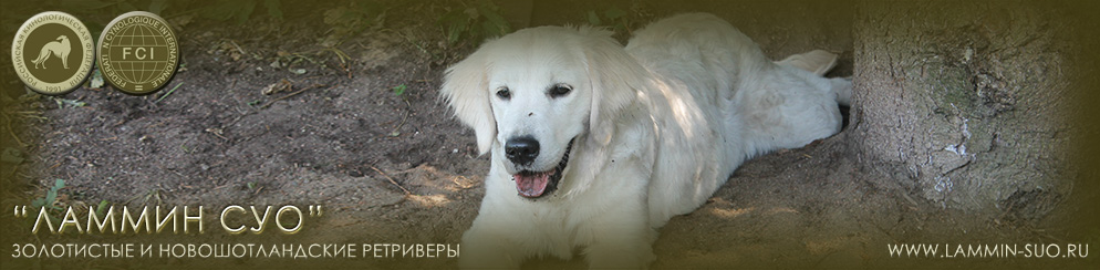 ���������� �������� ������ ��� ������� ���� ����