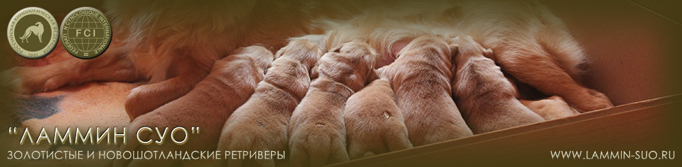 ��������������� ��������� ������ �