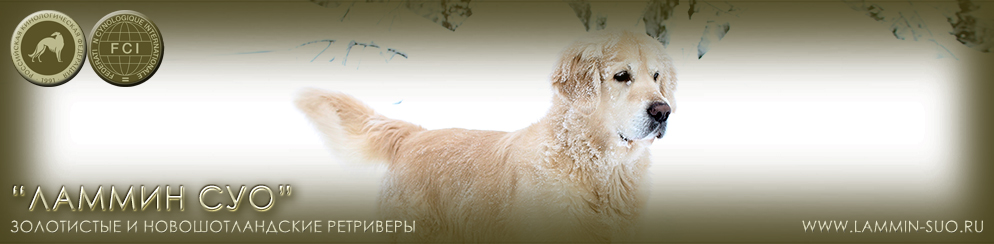 ���������� �������� ������ ��� ������ �������