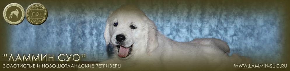 ���������� �������� ������ ��� ������