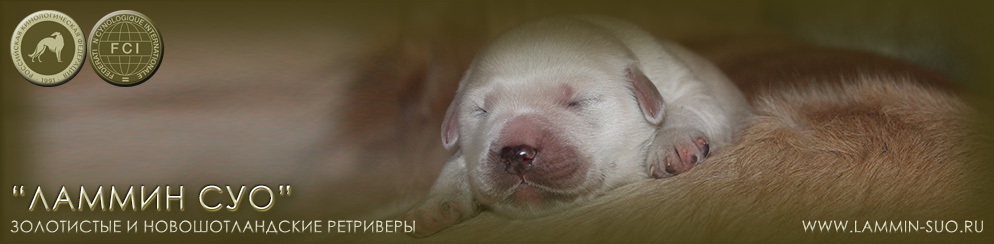 ���������� ��������� ������ ��� ������ �