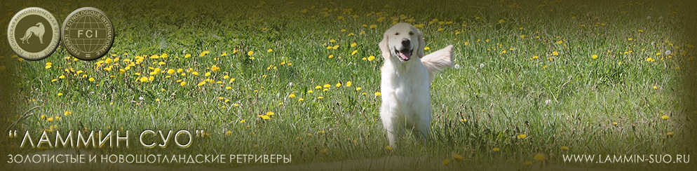 ���������� �������� ������ ��� ������