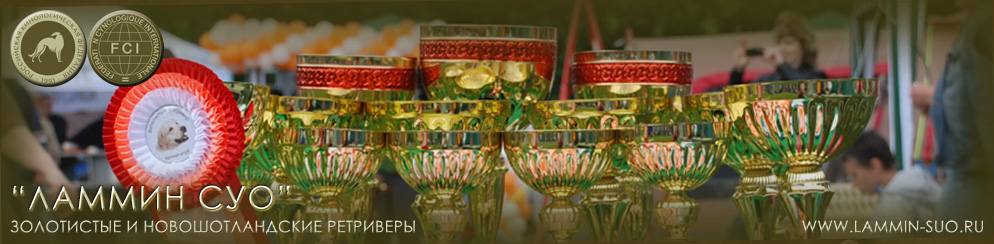 �������� ���������� � ��������������� ���������