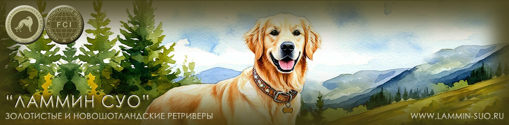 �������� ��� �����