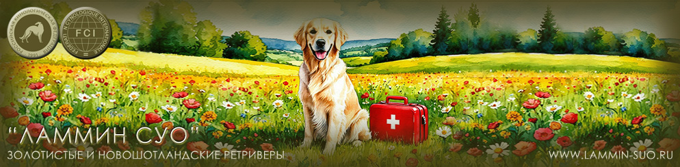 ������� ��� �����