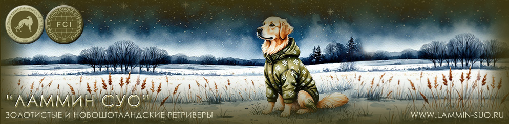 ����� �� ������ ������ ������