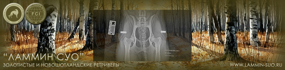 �������� ����� �� ���������