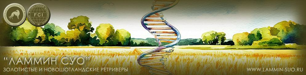 ������������ ����� ��� ���������� ����������