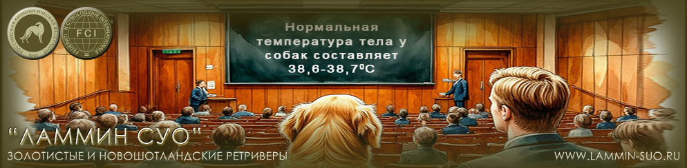 �������� ��������������� ���������� � �����