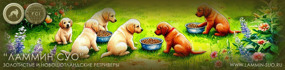 ��������� ����������� � ���������������� ���������