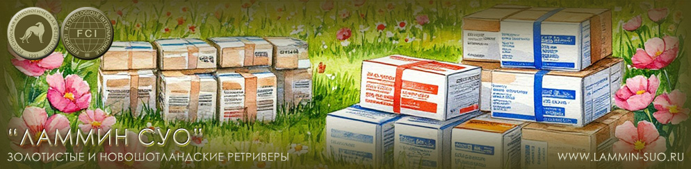 ������������ � ������� �� ���������� ���������