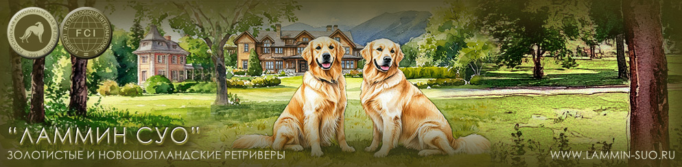 �������� ���������� � ��������������� ���������� "������ ���" (�����-���������)