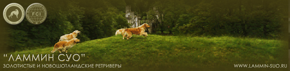 �������� ���������� � ��������������� ���������� "������ ���" (�����-���������)