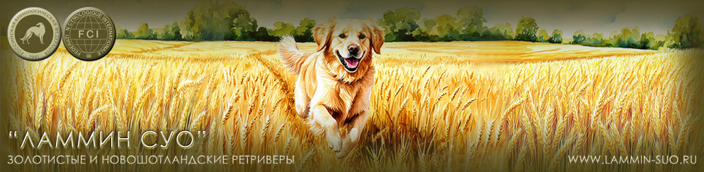 �������� ���������� � ��������������� ���������� "������ ���" (�����-���������)