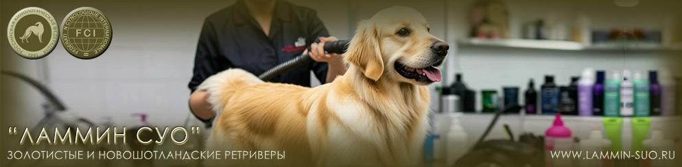 �������� ���������� � ��������������� ���������� "������ ���" (�����-���������)