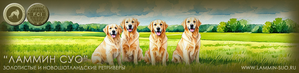 �������� �����, �� ���� � ��������������