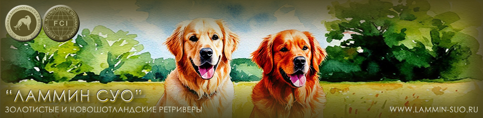 ��������� ������������� �������