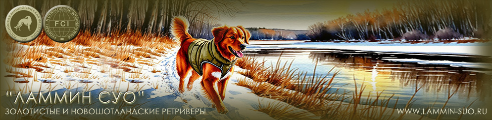 ������ � ����� ��� �����