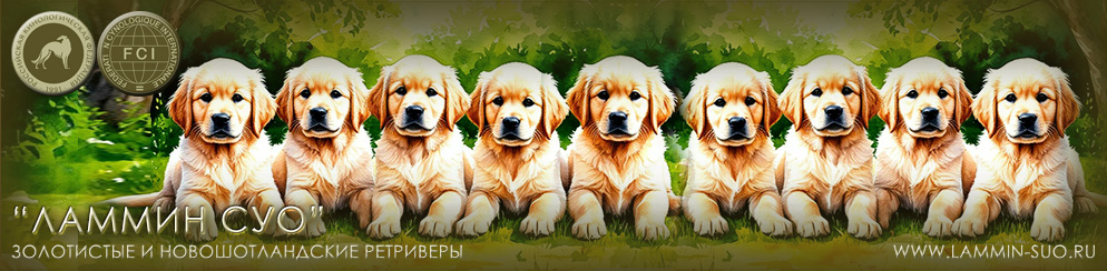 �������� ���������� � ��������������� ���������� "������ ���" (�����-���������)