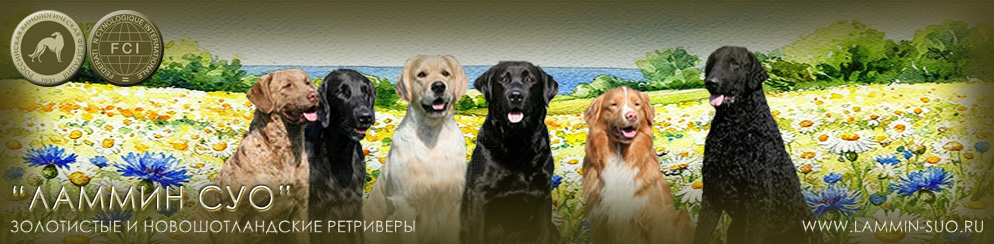 ������ ����������